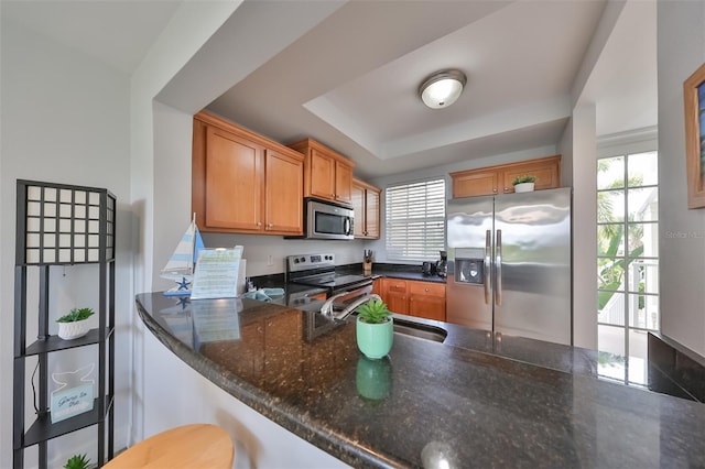 kitchen featuring a raised ceiling, sink, dark stone countertops, kitchen peninsula, and stainless steel appliances