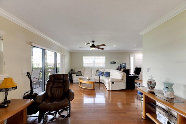 living area featuring ceiling fan, ornamental molding, and wood finished floors