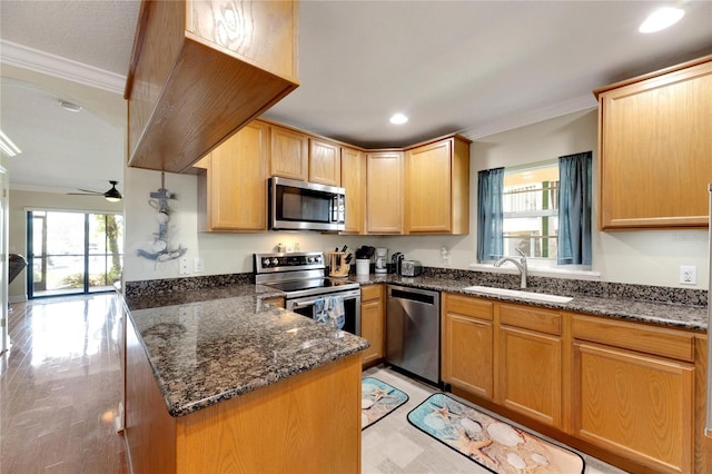 kitchen with sink, ceiling fan, crown molding, and stainless steel appliances