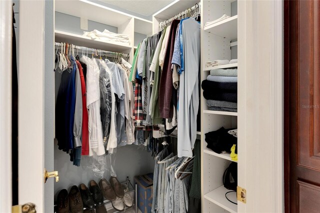 view of walk in closet