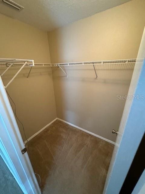 walk in closet featuring carpet