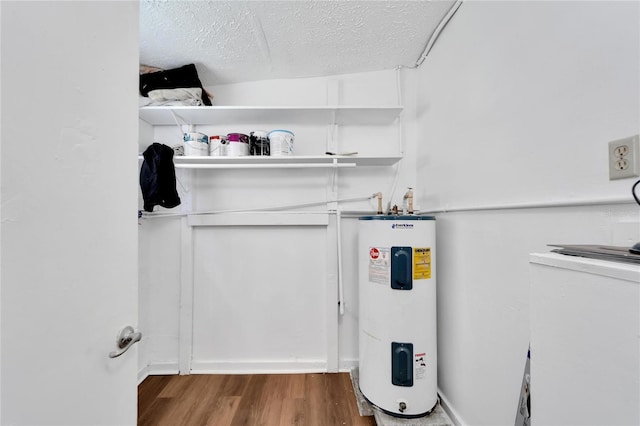 utility room with electric water heater