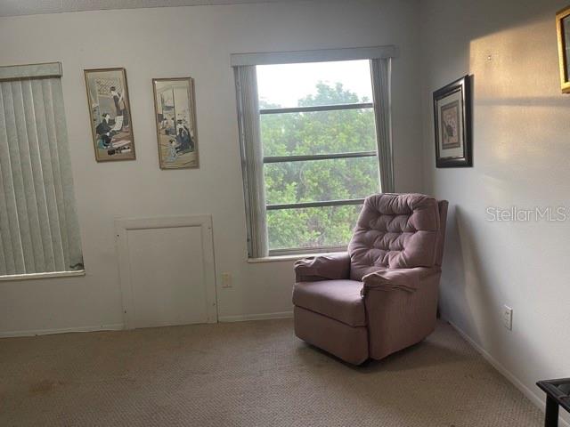 sitting room featuring carpet floors