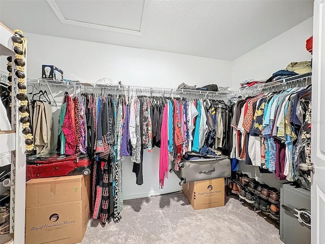 walk in closet with carpet floors