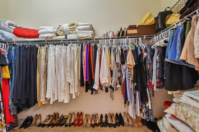 walk in closet featuring carpet floors