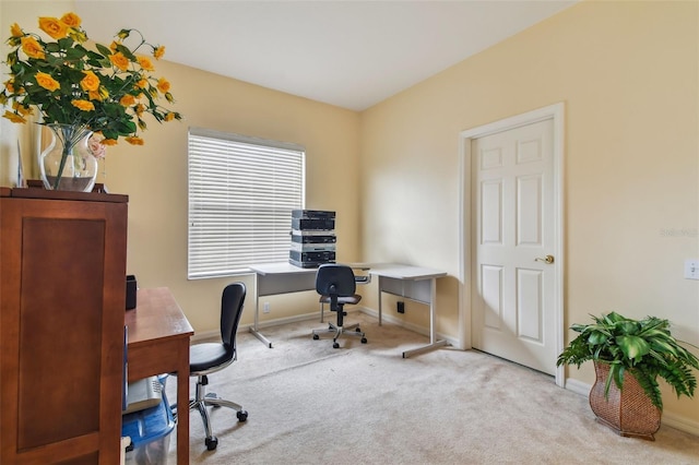 office featuring carpet floors and baseboards