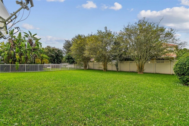 view of yard featuring a fenced backyard