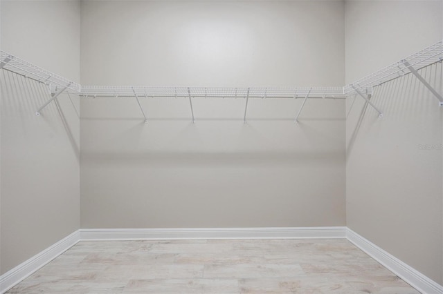 walk in closet featuring light hardwood / wood-style flooring