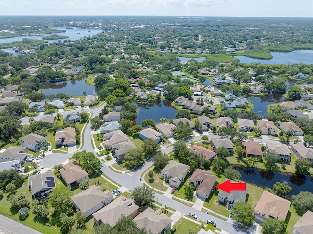 1134 S Pointe Alexis Dr, Tarpon Springs, FL 34689 - photo 57