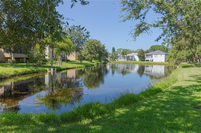1134 S Pointe Alexis Dr, Tarpon Springs, FL 34689 - photo 38