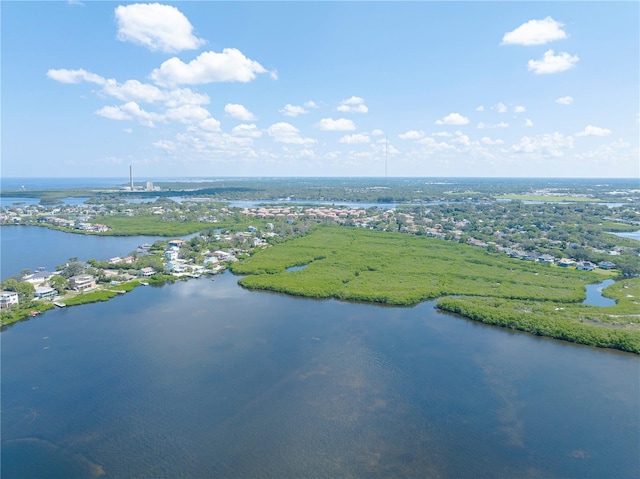 1134 S Pointe Alexis Dr, Tarpon Springs, FL 34689 - photo 55