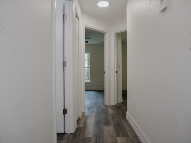 hallway with baseboards and dark wood-style floors