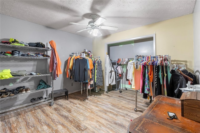 walk in closet featuring ceiling fan and light wood-type flooring