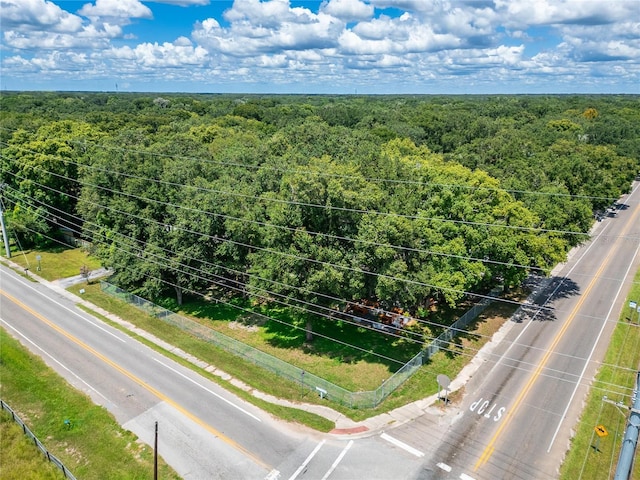 10516 County Road 579th Hwy, Thonotosassa, FL 33592 - photo 1
