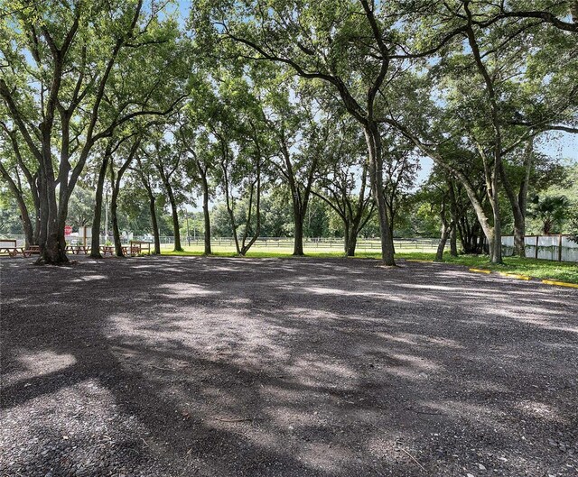 10516 County Road 579th Hwy, Thonotosassa, FL 33592 - photo 6