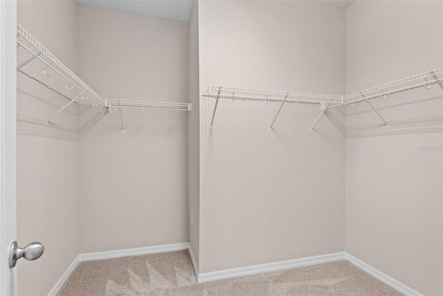 walk in closet featuring carpet