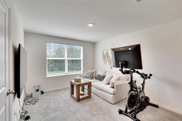 living room with a textured ceiling and light carpet