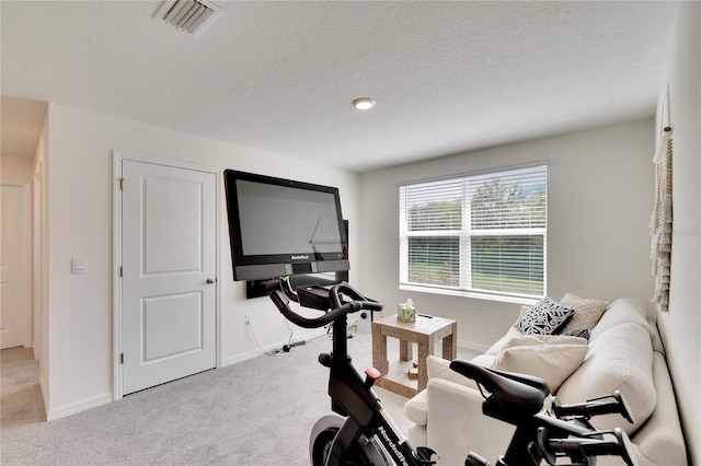 workout room featuring a textured ceiling and light colored carpet