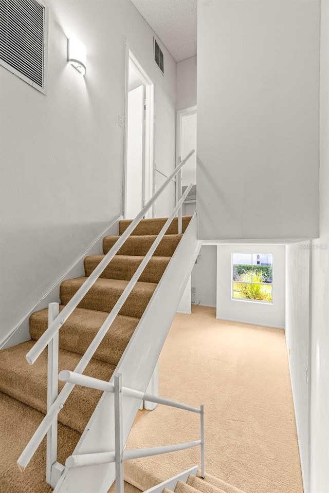 stairs with carpet floors