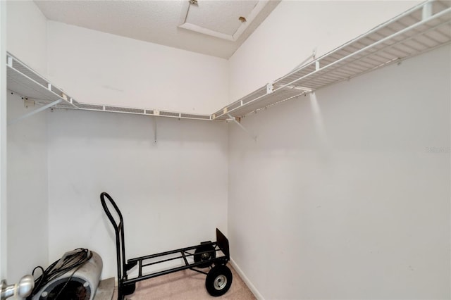 spacious closet with light colored carpet