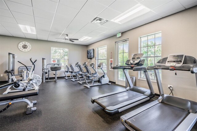 exercise room with ceiling fan, a drop ceiling, and a healthy amount of sunlight