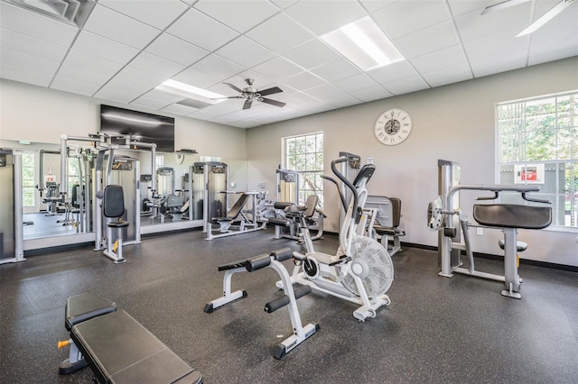 exercise room featuring ceiling fan and a drop ceiling