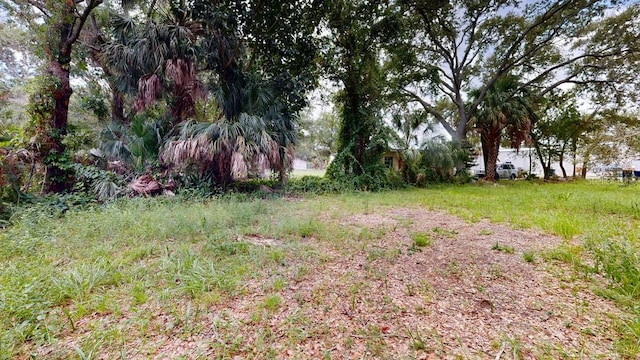 Listing photo 3 for 5115 W Grace St, Tampa FL 33607