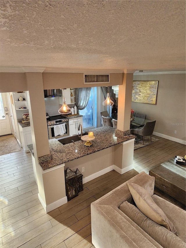 living room with sink, a textured ceiling, hardwood / wood-style flooring, and crown molding