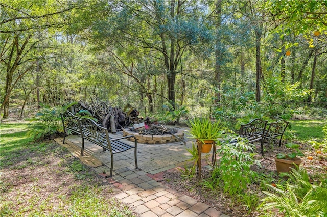 view of yard with a patio area