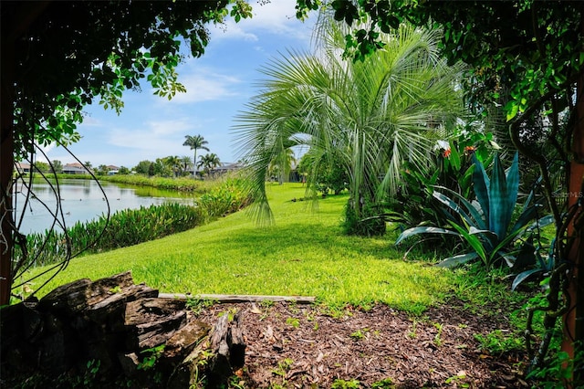 view of yard featuring a water view