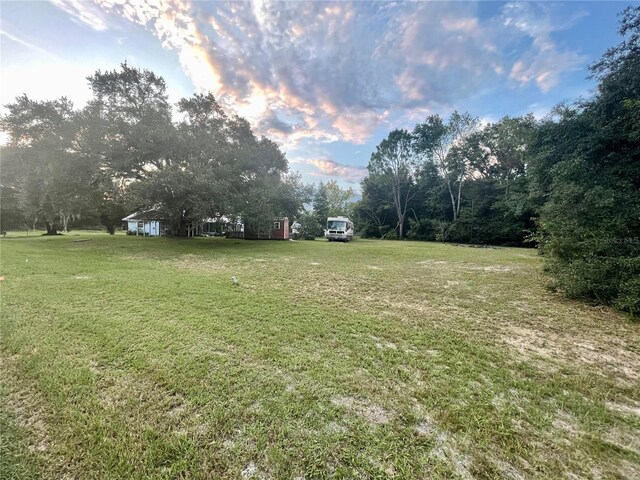 13659 SW 115th Pl, Dunnellon, FL 34432 - view of green lawn