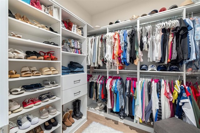 view of walk in closet