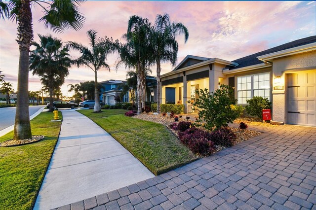 view of front of house featuring a yard