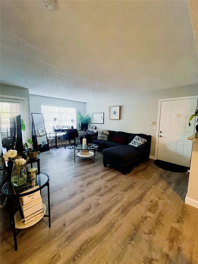 living room featuring a textured ceiling and wood-type flooring