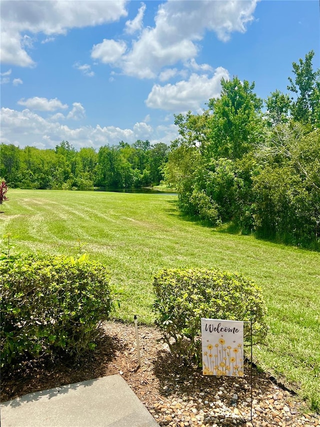 761 Tremont Greens Ln Unit 61, Sun City Center, FL 33573 - view of yard with a forest view