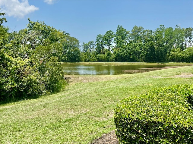 761 Tremont Greens Ln Unit 61, Sun City Center, FL 33573 - water view