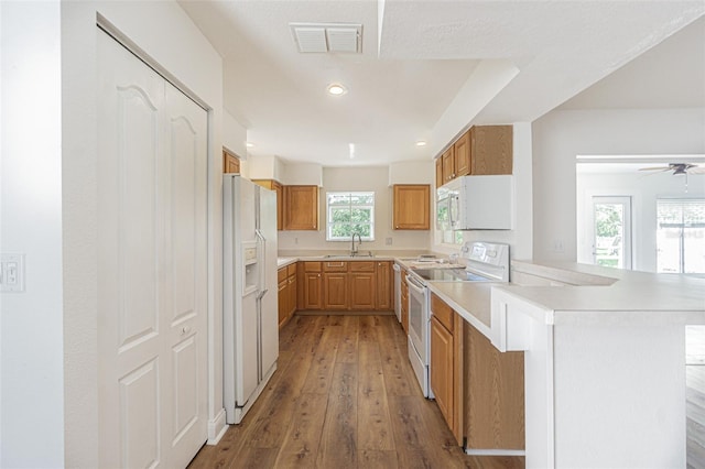 kitchen with white appliances, kitchen peninsula, ceiling fan, light hardwood / wood-style flooring, and sink