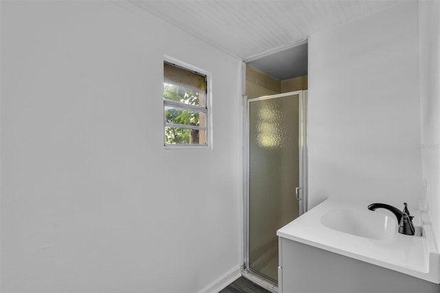 bathroom featuring a shower with door and vanity