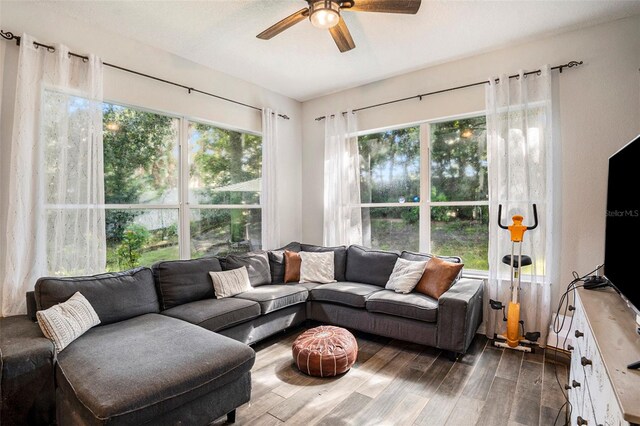 living room featuring dark wood-type flooring and ceiling fan