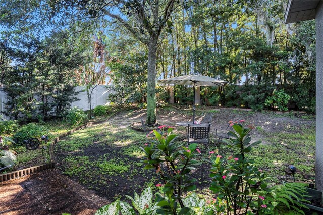 view of yard featuring a patio area