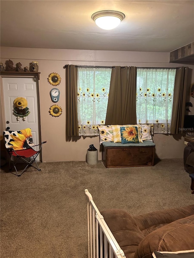 living room featuring carpet floors and a healthy amount of sunlight