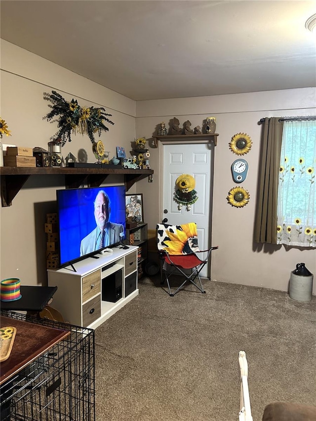 living room featuring carpet floors