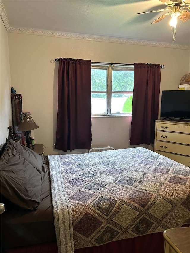 bedroom with ceiling fan