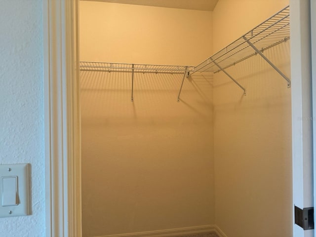 view of walk in closet