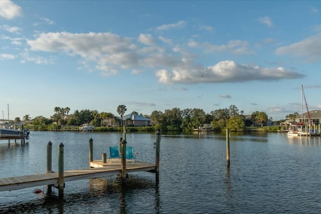 dock area with a water view