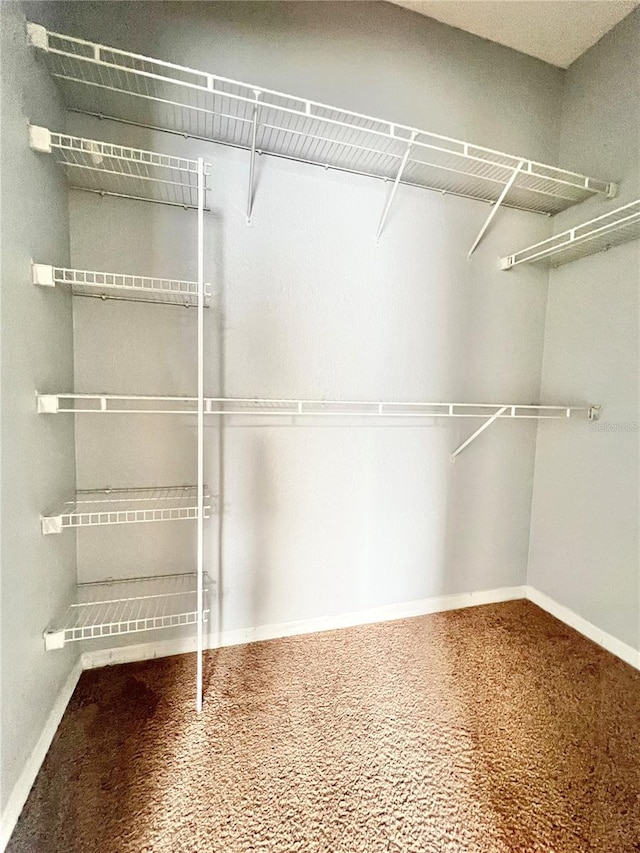 spacious closet with carpet floors