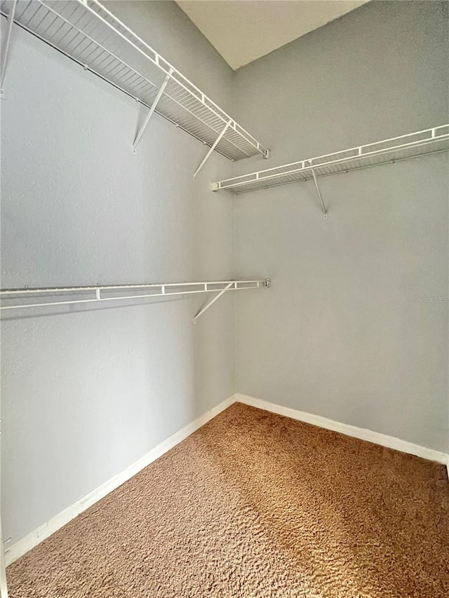 walk in closet featuring carpet