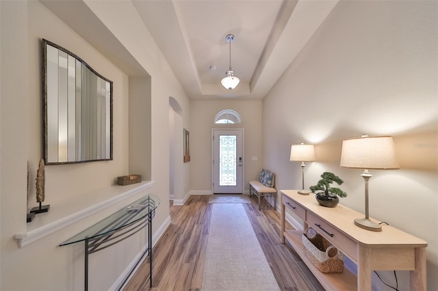 entrance foyer with a tray ceiling and hardwood / wood-style flooring