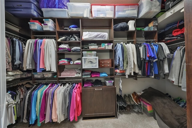 walk in closet featuring carpet floors