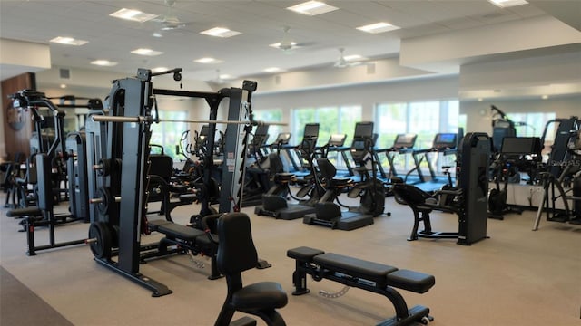 exercise room with light colored carpet and a paneled ceiling